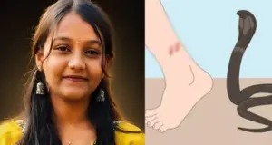 നൃത്ത ക്ലാസിലേക്ക് പോകും വഴി പാമ്പുകടിയേറ്റ പതിനൊന്നുകാരി മരിച്ചു; കട്ടുറുമ്പാണെന്ന് കരുതി, പിന്നാലെ മരണം | Aroor snakebite death Niya Lenin