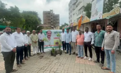 साईनगर परिसर में वृक्षारोपण