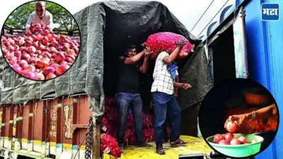 Onion Buffer Stock : दोन महिन्यांत कांद्याचे दर २० रुपयांवरुन ६० रुपये किलो;बफर स्टॉक असूनही कांदा महाग ,लागवड उत्पादन वाढूनही यंदा टंचाई