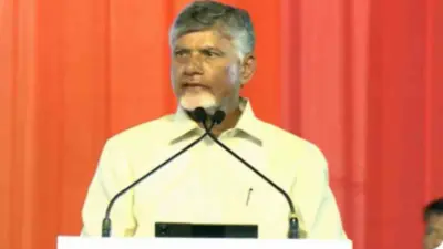 ఎల్ నినో కాదు ఎల్లో నినోతో ఏపీ బాధపడుతోంది.. జగన్ సెటైర్లు