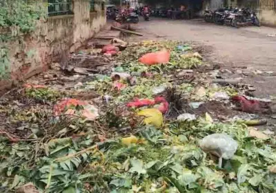 ୟୁନିଟ ୧ ସ୍ଥିତ ବିଡିଏ ଜ୍ଞାନ ପଟ୍ଟନାୟକ ପାର୍କ ସମ୍ମୁଖରେ କୁଢ଼କୁଢ଼ ଆବର୍ଜନା