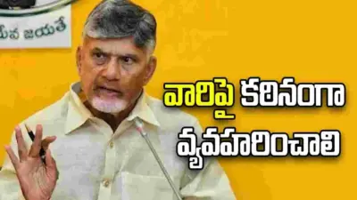చట్టాన్ని చేతుల్లోకి తీసుకునే వారిపై కఠినంగా వ్యవహరించాలి: సీఎం చంద్రబాబు