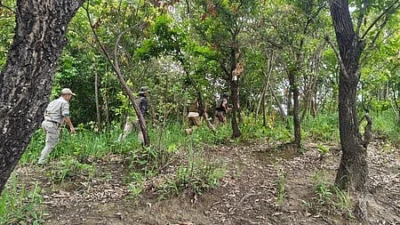 Search operations continue in Manipur to rescue 20 hostages amid Naga-Kuki tensions
