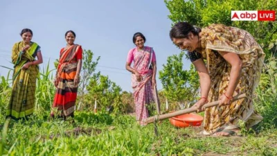 पीएम किसान सम्मान निधि की 23वीं किस्त पर बड़ा अपडेट, इन किसानों के खाते में नहीं आएंगे पैसे