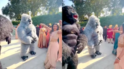 Why 'Dancing Gorillas' Are Becoming The Most Unexpected Wedding Trend In India - WATCH