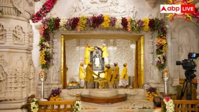 Ram mandir Flag Hoisting: इस लकड़ी से बने हैं राम मंदिर के दरवाजे, जानें आज इसकी कीमत कितनी?