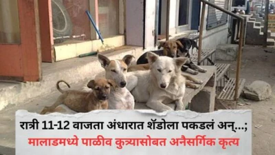 Mumbai Crime News: रात्री 11-12 वाजता अंधारात शॅडोला पकडलं अन्...; मालाडमध्ये पाळीव कुत्र्यासोबत अनैसर्गिक कृत्य; माणुसकीला काळिमा फासणारी घटना