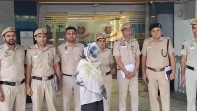 दिल्ली में 'डॉग फोर्ट्रेस' बनाकर चोरी करती थी नौकरानी, 2 किलो सोना बरामद, 15 कुत्तों के बीच रहती थी आरोपी