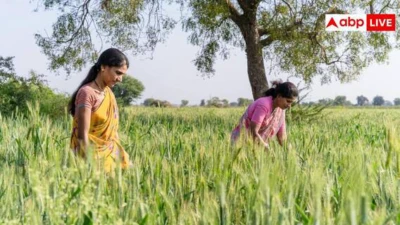 PM Kisan Samman Nidhi Yojana: क्या किसान निधि के साथ मिल सकता है मंईयां सम्मान योजना का पैसा, महिला किसान जान लें नियम
