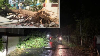 முடங்கி போன கோவை... மழை, காற்றால் ஸ்தம்பித்த போக்குவரத்து!