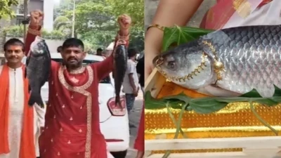 বাংলায় ভোট প্রচারে এবার ইস্যু ইলিশ-রুই, মমতা ও বিজেপির মাছ রাজনীতি তুঙ্গে