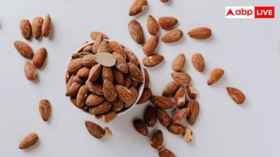 Empty Stomach Almonds: हर दिन खाली पेट बादाम खाने के क्या हैं फायदे? जानकर रह जाएंगे हैरान