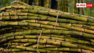India Bans Sugar Exports, Global Prices Likely To Rise