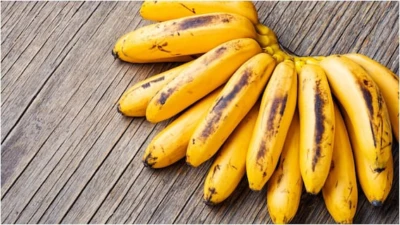 Banana Storage Tips : వేసవిలో అరటిపండ్లు త్వరగా పాడవుతున్నాయా? ఇలా చేస్తే ఎక్కువ రోజులు ఫ్రెష్‌గా ఉంటాయి