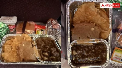 दिल्ली-बाली फ्लाइट में मिला 'हलवा पूरी छोले'! Air India के खाने ने इंटरनेट पर मचा दिया तहलका
