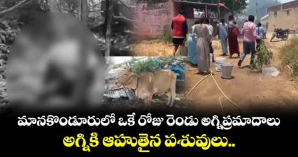 మానకొండూరులో ఒకే రోజు రెండు అగ్నిప్రమాదాలు... అగ్నికి ఆహుతైన పశువులు..