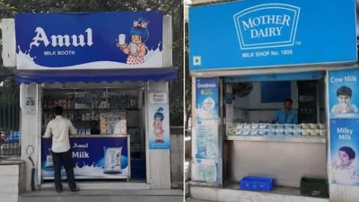 Amul, Mother Dairy Milk Prices Increased From Today: Check Revised Rates