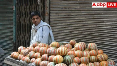 How To Identify Sweet Melon: बाजार से खरीदने जा रहे हैं खरबूजा, मीठा है या नहीं? ऐसे करें चेक