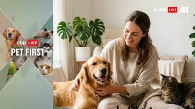 ABP Live Pet First: Common Pet Health Issues And How To Handle Them Naturally