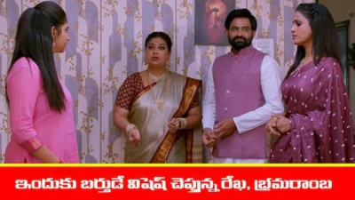 Brahmamudi Serial Today April 7th: 'బ్రహ్మముడి' సీరియల్: ఇందుకు బర్తుడే విషెష్‌ చెప్పిన రేఖ - రేఖను తిట్టిన అపర్ణ