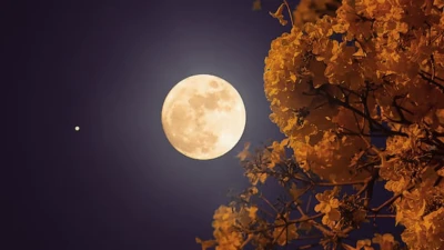 What Is 'Flower Moon'? Know Date, Time And How You Can Watch Full Moon