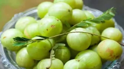 These People Should Avoid Consuming Amla, It Can Cause Serious Harm