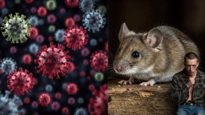 Hantavirus Infection Kills 3: Know Early Symptoms And Precautions
