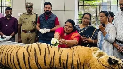 തിരുവനന്തപുരം മൃഗശാലയില് ന്യുമോണിയ ബാധിച്ച് കടുവ ചത്തു