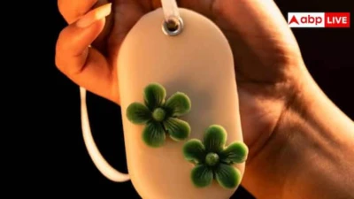 Car Perfume Tips: कार का परफ्यूम लेते वक्त इन बातों का जरूर रखें ध्यान, वरना खराब हो जाएगा माहौल