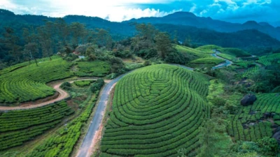 Top 10 Indian Travel Destinations With AQI Between 50-100 For Calm Getaways