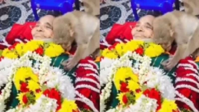 వైరల్ వీడియో: వృద్ధురాలి మరణంపై కొడుకులా రోదించిన కోతి; ఈ కథ తెలిస్తే మానవత్వం అంటే ఏంటో అర్థమవుతుంది