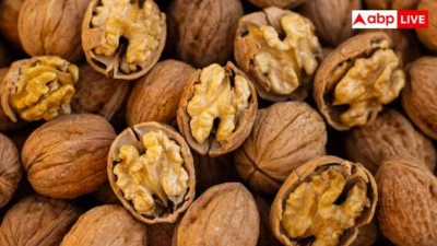 Walnut Farming: एक ही पेड़ से हो जाएगी 28 से 30 हजार की कमाई, किसान ऐसे करें अखरोट की खेती
