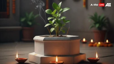 Tulsi Vivah 2025: Know Date, Significance, Puja Rituals, And All About This Sacred Festival