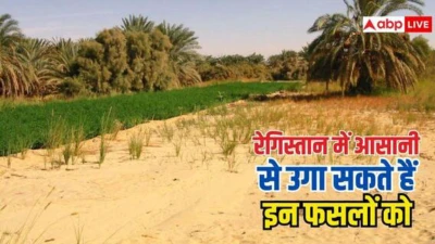 रेगिस्तान में आसानी से उगाई जा सकती है ये फसलें, गुजरात और राजस्थान के किसानों के लिए बड़ी खबर