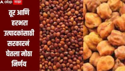 शेतकऱ्यांसाठी दिलासादायक बातमी! तूर आणि हरभरा उत्पादकांसाठी सरकारनं घेतला मोठा निर्णय