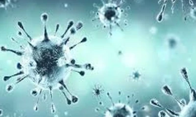 അവശ്യ സാധനങ്ങള്ക്ക് ക്ഷാമമില്ല