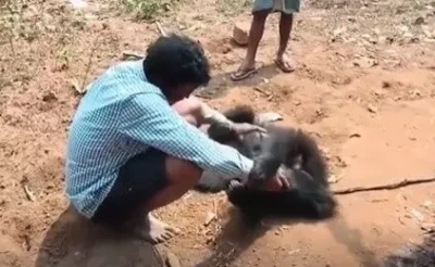 కంటతడి పెట్టించిన కన్నయ్య..ఎలుగు'బంటి' బంధం