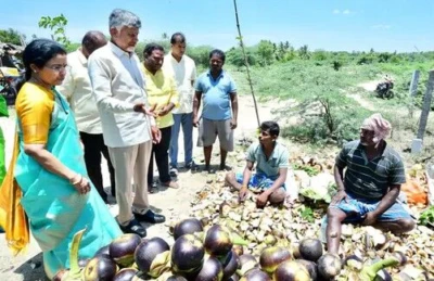 CBN: రోడ్డు పక్కన ఆగి.. తాటి ముంజలు తిని..