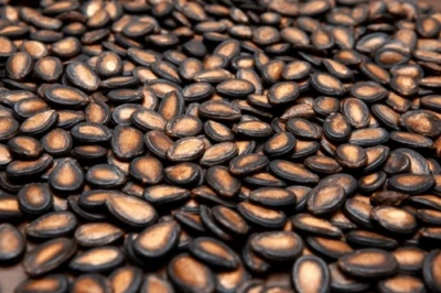 పుచ్చకాయ గింజలు తింటే బాడీలో ఏం జరుగుతుందో తెలుసా..?