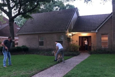 ವಸತಿ ಪ್ರದೇಶದಲ್ಲಿ ಕಾಣಿಸಿಕೊಂಡು ಶಾಕ್ ಕೊಟ್ಟ ಹುಲಿರಾಯ