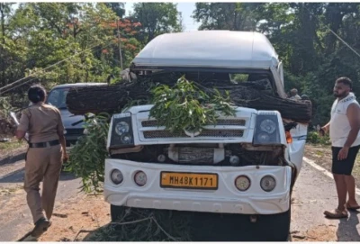 "काळ आला होता पण." अक्कलकोटला जाणाऱ्या भाविकांच्या गाडीवर झाड कोसळले; २१ जण थोडक्यात वाचले