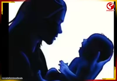 মা সন্তানকে বেচে দিচ্ছে? কোথায় বাবা-মায়ের ভালোবাসা? তীব্র ভর্ৎসনা হাইকোর্টের