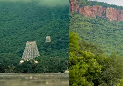 హరిత శోభతో అలరారుతున్న తిరుమల గిరులు