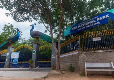 కేబీఆర్ పార్క్ పరిసరాల్లో చెట్లు నరికివేయడంపై సుప్రీం కోర్టు స్టే