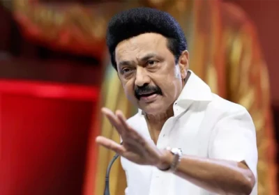 విజయ్ ఖాళీ చేసే స్థానం నుంచి స్టాలిన్ పోటీ?