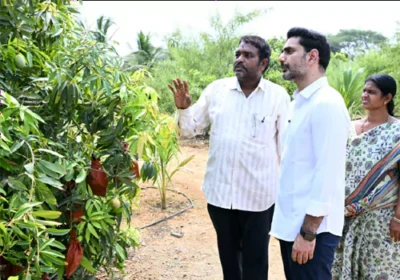 రైతులను సేంద్రియ సాగువైపు ప్రోత్సహించాలి : మంత్రి లోకేష్