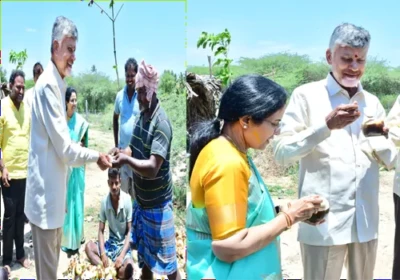 రోడ్డు పక్కన ఆగి తాటి ముంజలు తిన్న సీఎం చంద్రబాబు దంపతులు