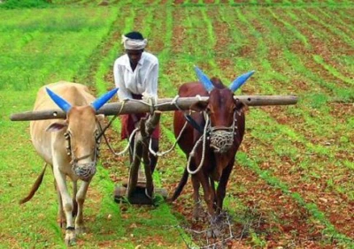 GOOD NEWS: ಬೆಳೆಹಾನಿ ಪರಿಹಾರ ಪಾವತಿಸಲು ಆದೇಶ.. ರೈತರು 'ಫ್ರೂಟ್ಸ್ ಐಡಿ' ಹೊಂದಿರಲೇಬೇಕು