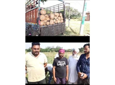 ਪੰਚਾਇਤੀ ਜਮੀਨ ਵਿੱਚੋਂ ਸਫੈਦਿਆਂ ਦੇ ਰੁੱਖ ਵੱਢਣ ਦਾ ਮਾਮਲਾ ਭੱਖਿਆ