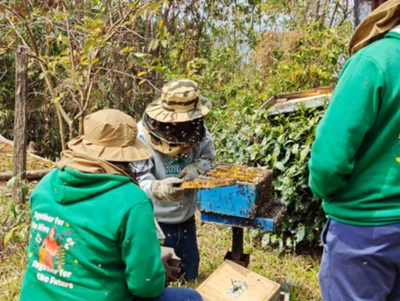 Over 100 farmers in Manipur's Tamenglong trained under PMDDKY for honey production